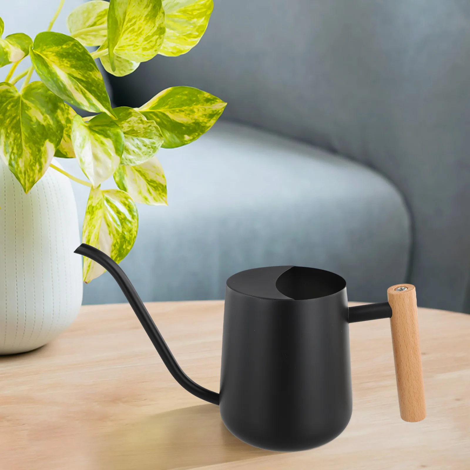 

Eco Friendly Stainless Steel Watering Kettle 1000ml for Efficient Watering of Your Favorite Indoor and Outdoor Plants