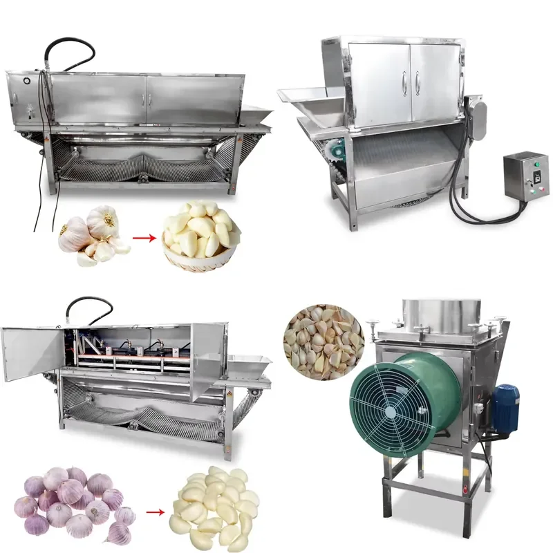 High Productivity Stainless Steel Garlic Peeling Machine Processing Capacity 800-1000 kg/h