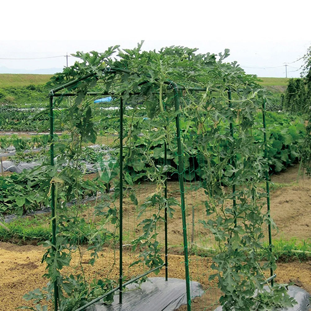 

2 Pcs Trellis for Climbing Plants Outdoor Network Gardening Vegetable Green Petunia