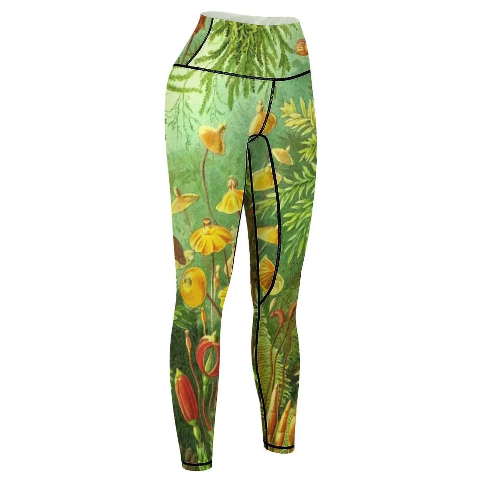 Moss - Ernst Haeckel Leggings trousers for fitness active wear Female legging pants Womens Leggings