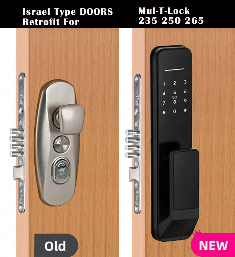 Israele tipo porte TTLOCK ASPP Fingerprint Smart Door Lock serratura digitale elettronica per impronte digitali Alexa Google Home