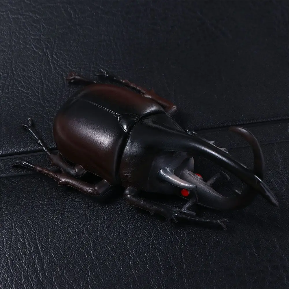 Collection Insect Toy Fake Beetle Kids Simulation Animals Simulation Beetle Special Lifelike Model Beetle Toys Insect Model