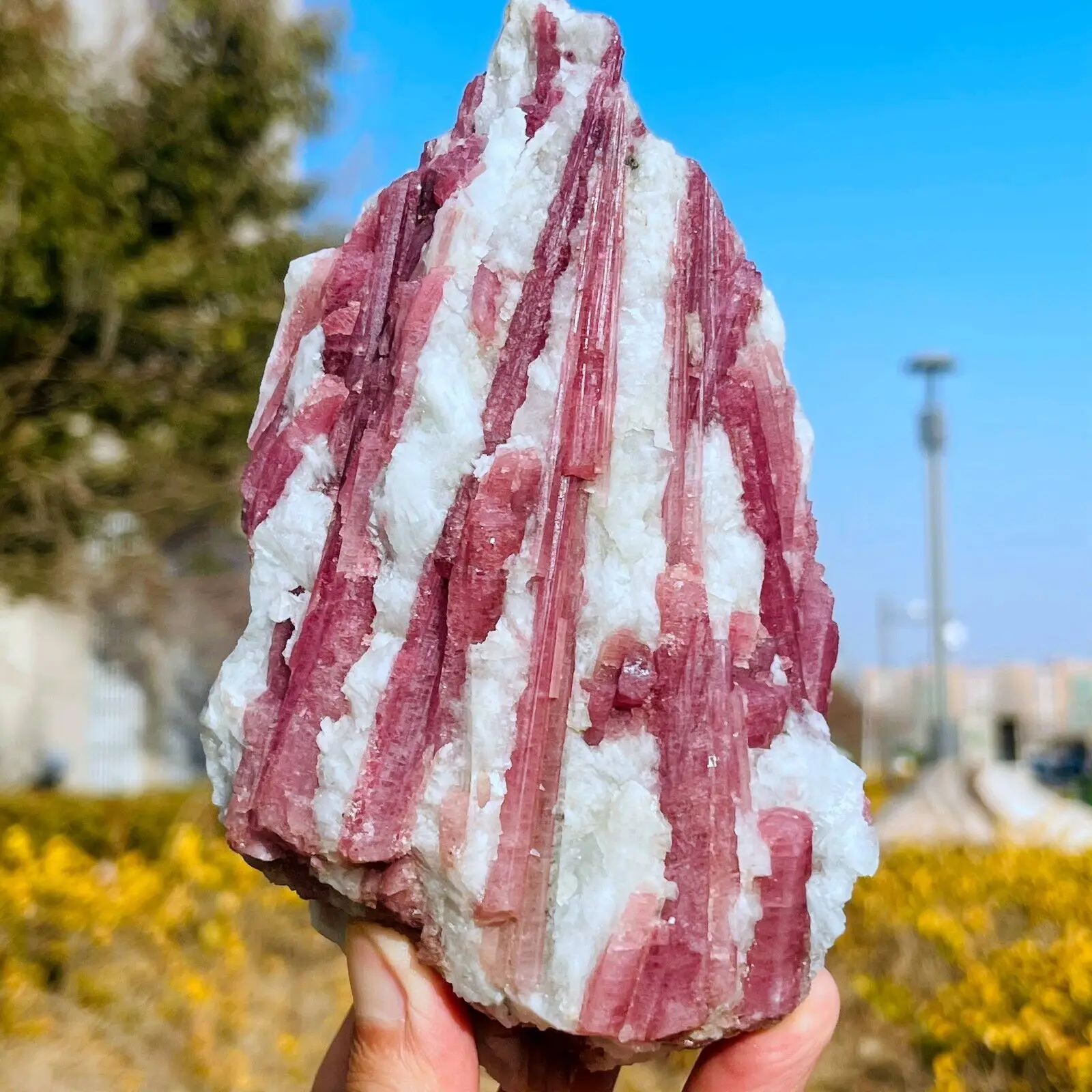 Natural Pink Tourmaline Quartz Crystal Mineral Specimen Reiki Healing