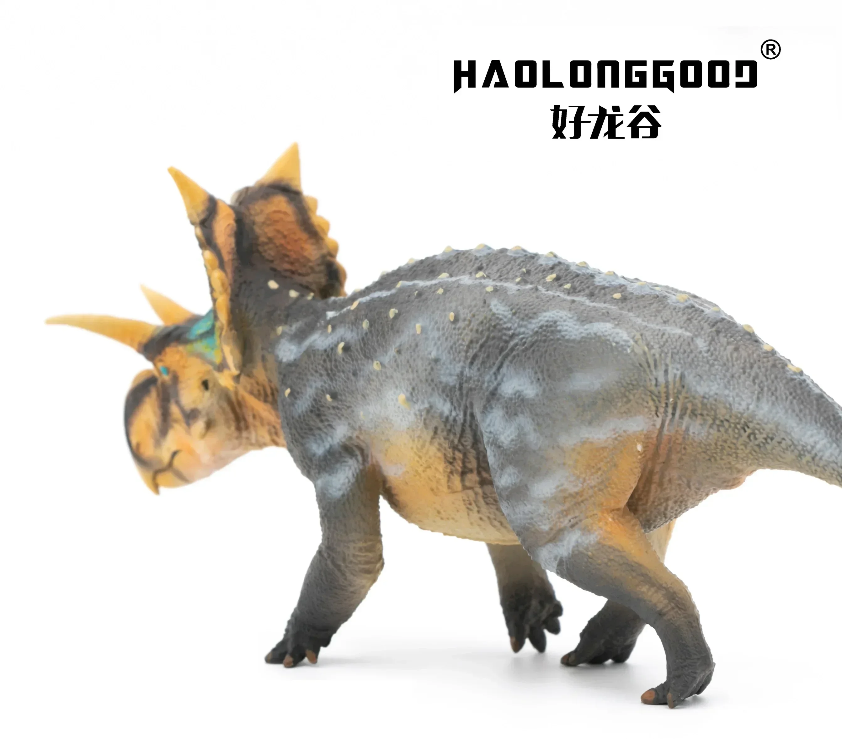 Haolonggood 1:35 Schaal Xenoceratops Prehistorische Dinosaurus Figuur Dier Model Speelgoed Cadeau