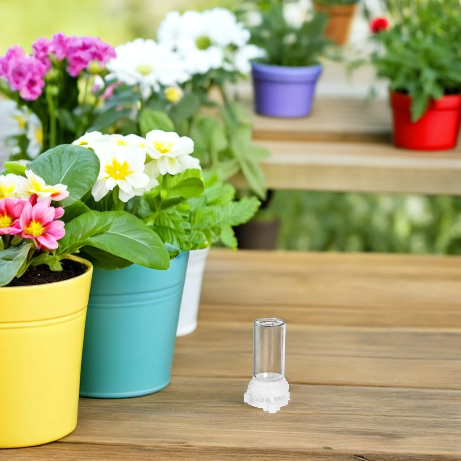 

2Pcs Ant Water Feeding Cup Professional Ant Feeder for Garden Nest Entrance Stable Non-Tilt Long Service Life Water Feeder