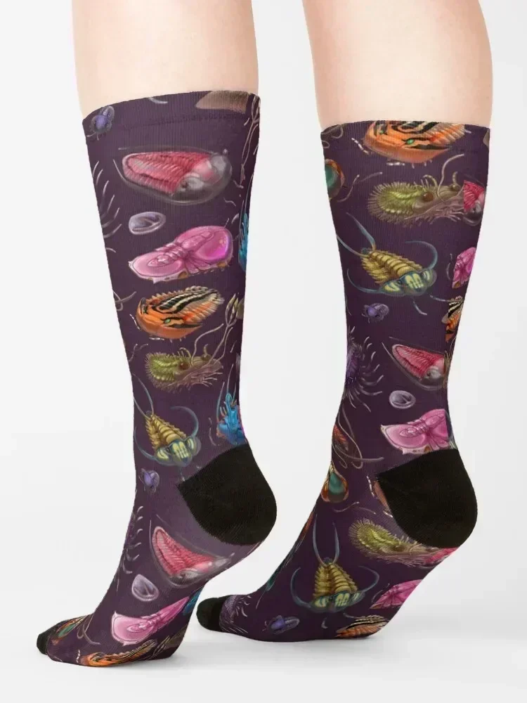 Trilobites Socks Hiking boots halloween christmas gifts Socks Woman Men's