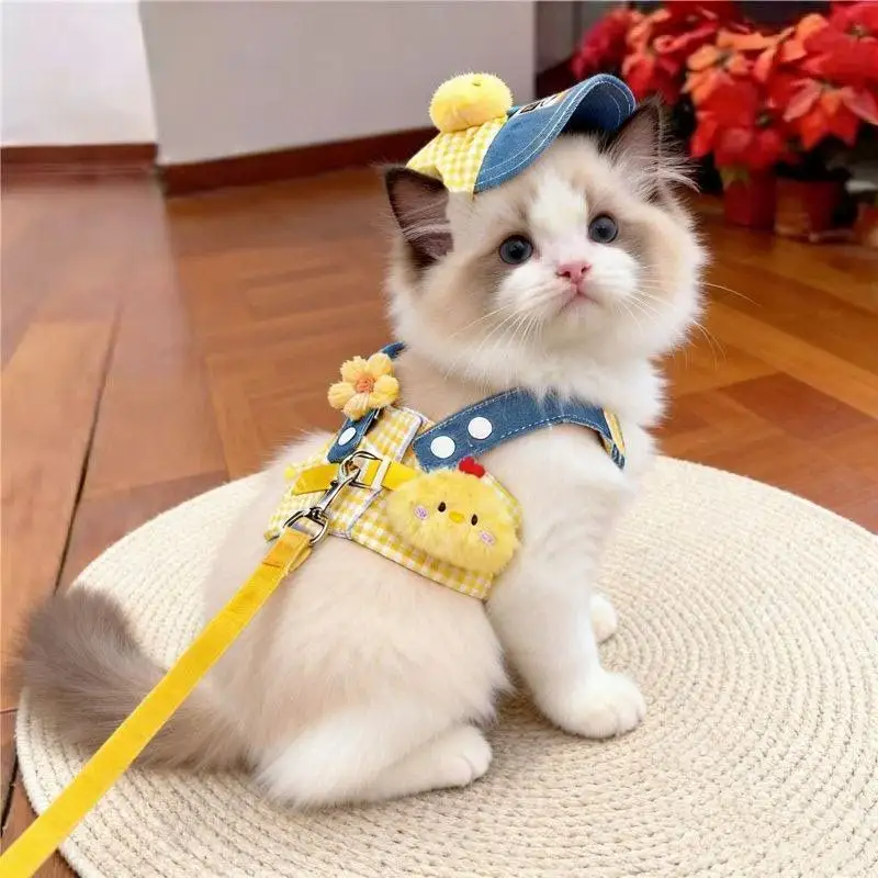 Cute Pet Harness Leash & Sun Hat Set 5