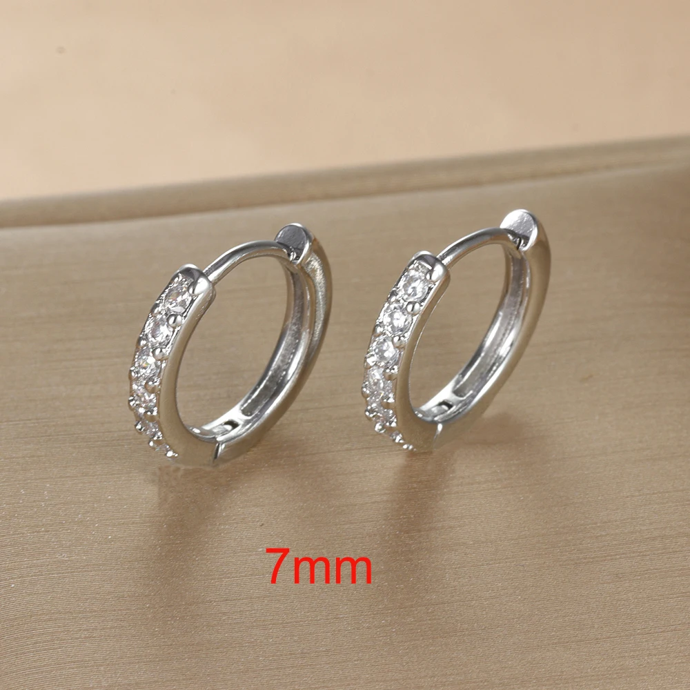 2PCS Winzige Edelstahl Huggie Kleine Creolen Für Frauen Runde Kreis Punk Unisex Rock Ohrring Knorpel Piercing Schmuck