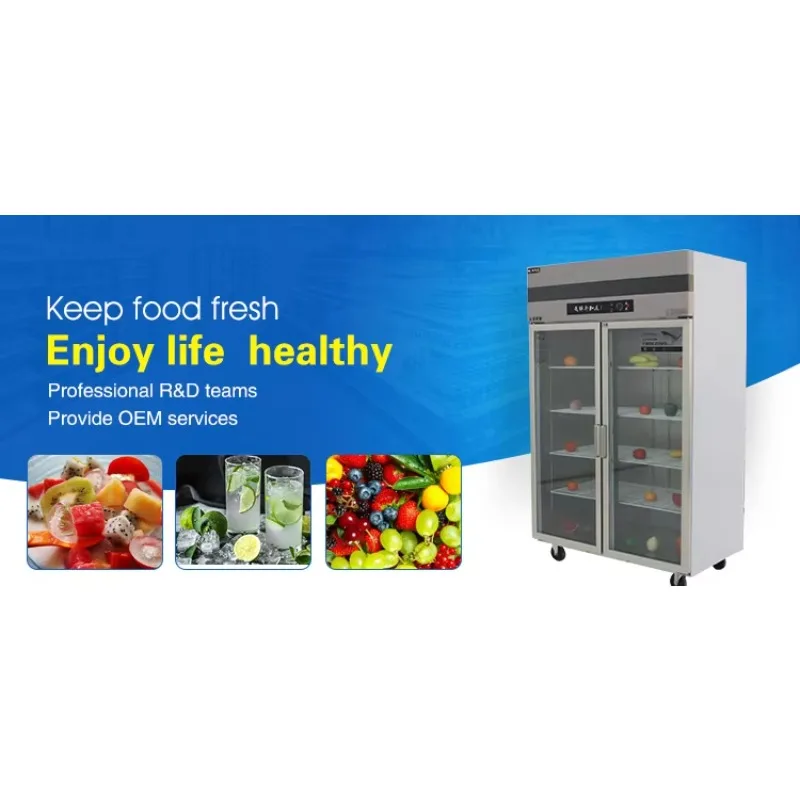 Custom Commercial Kitchen  Refrigerator Glass Door Refrigerator Beverage Refrigerator