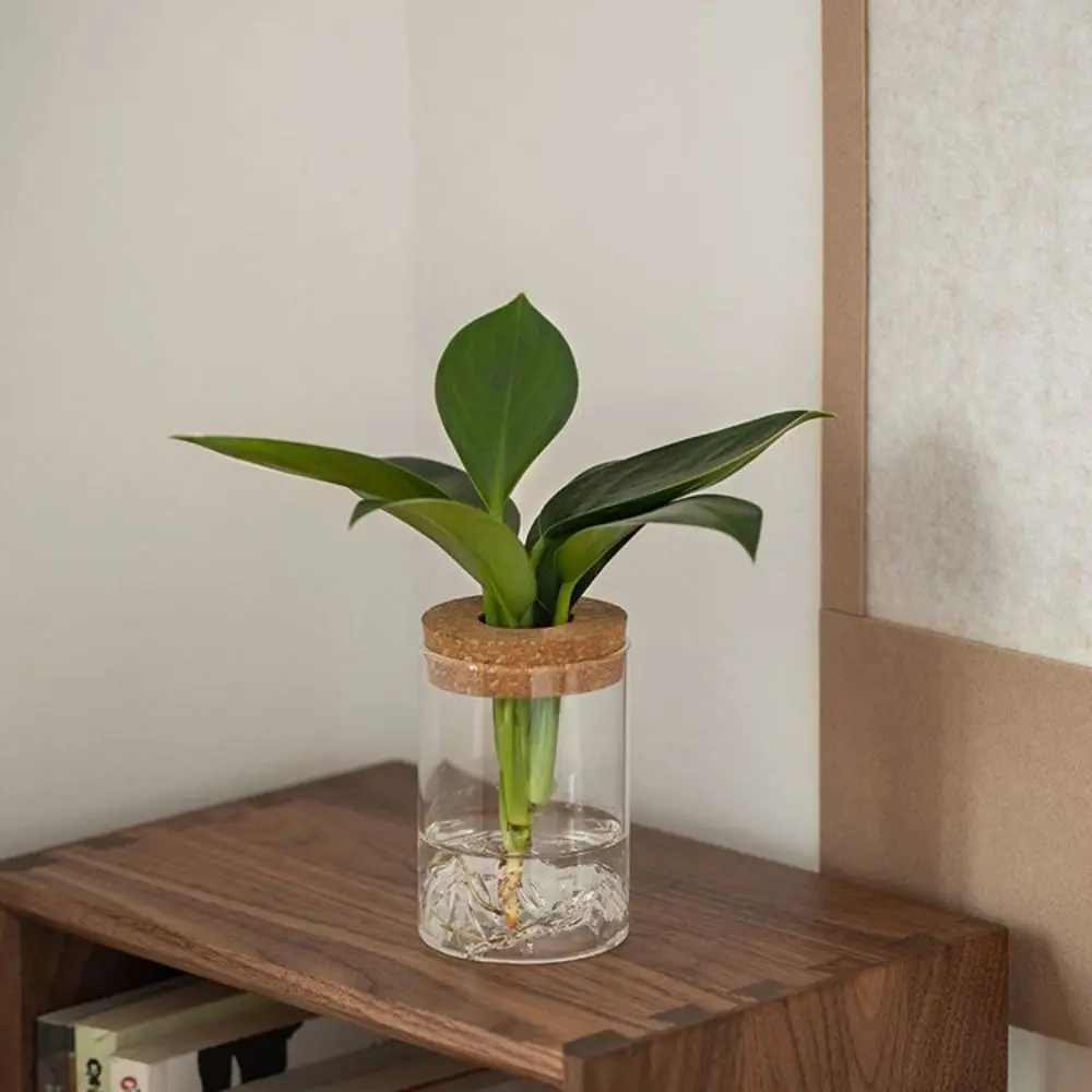 Flower Arrangement Bottle Glass Flower Vase Thickened Transparent Hydroponic Flower Holder Creative Mini Flower Pot Fish Tank