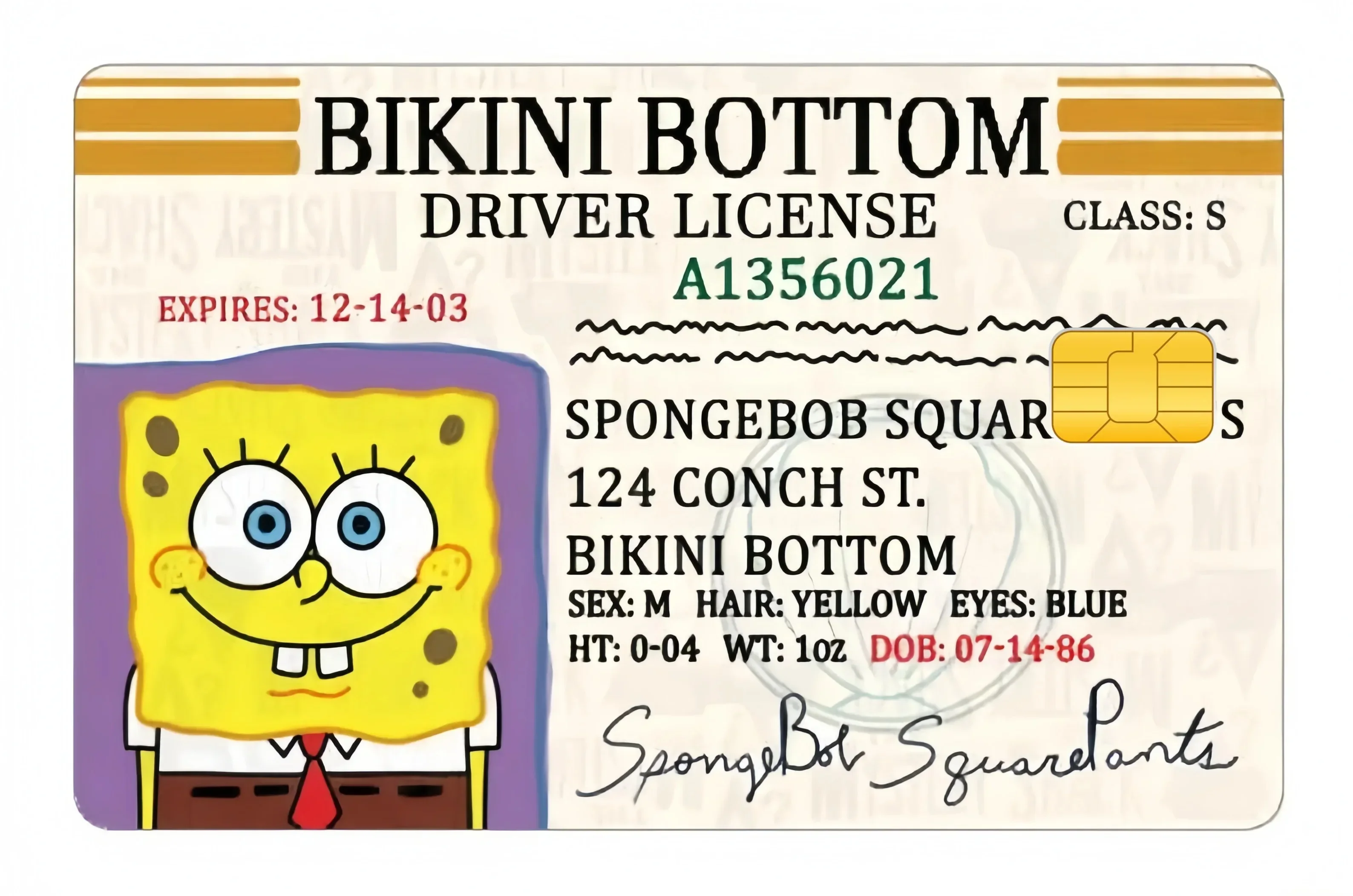 Cute Kawaii Sponges bobs Credit Card Stickers Public Transportation Cards Bank Card Decorations Scratch Children Toys Cover Gift image 4