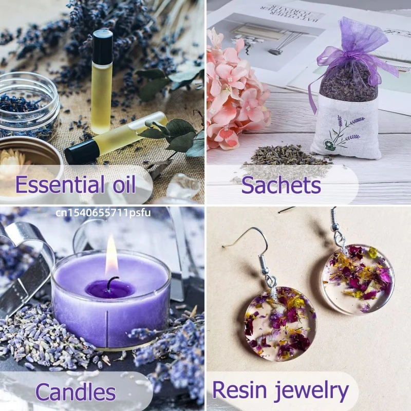 Thumbnail 3 - #13 Trending Dried Flowers Right Now