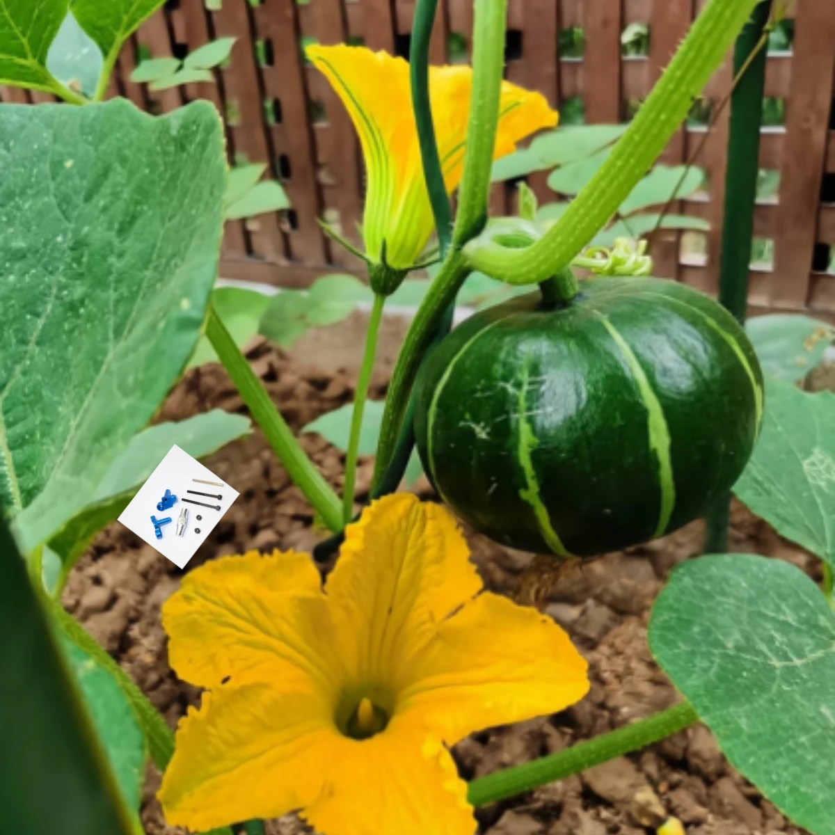 GPM KYOSHO 1/8 バイク NSR500用 アルミ製フロントシャーシホルダー - 1セット