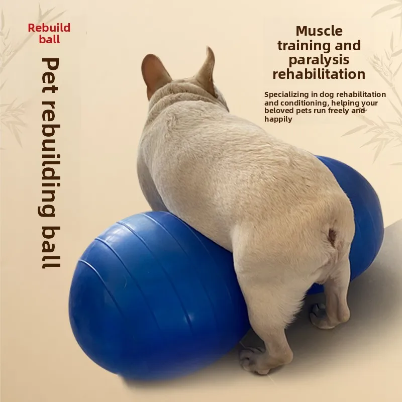 ZHAYA Peanut Balance Ball Capsule Pet Rehabilitation Equipment Paralyzed Dog Hind Leg Muscle Strength Training Aid