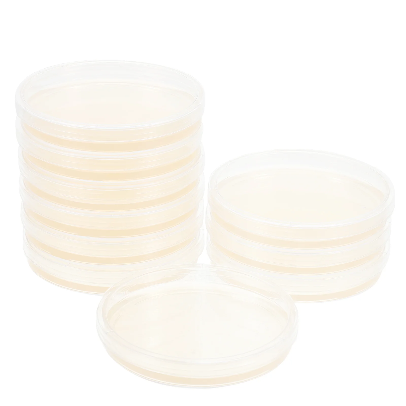 

10 Pcs Kit Prepoured Petri Dish Nutrient Agar Plate Tank Toy Dishes Flat Experiment Supplies Plates