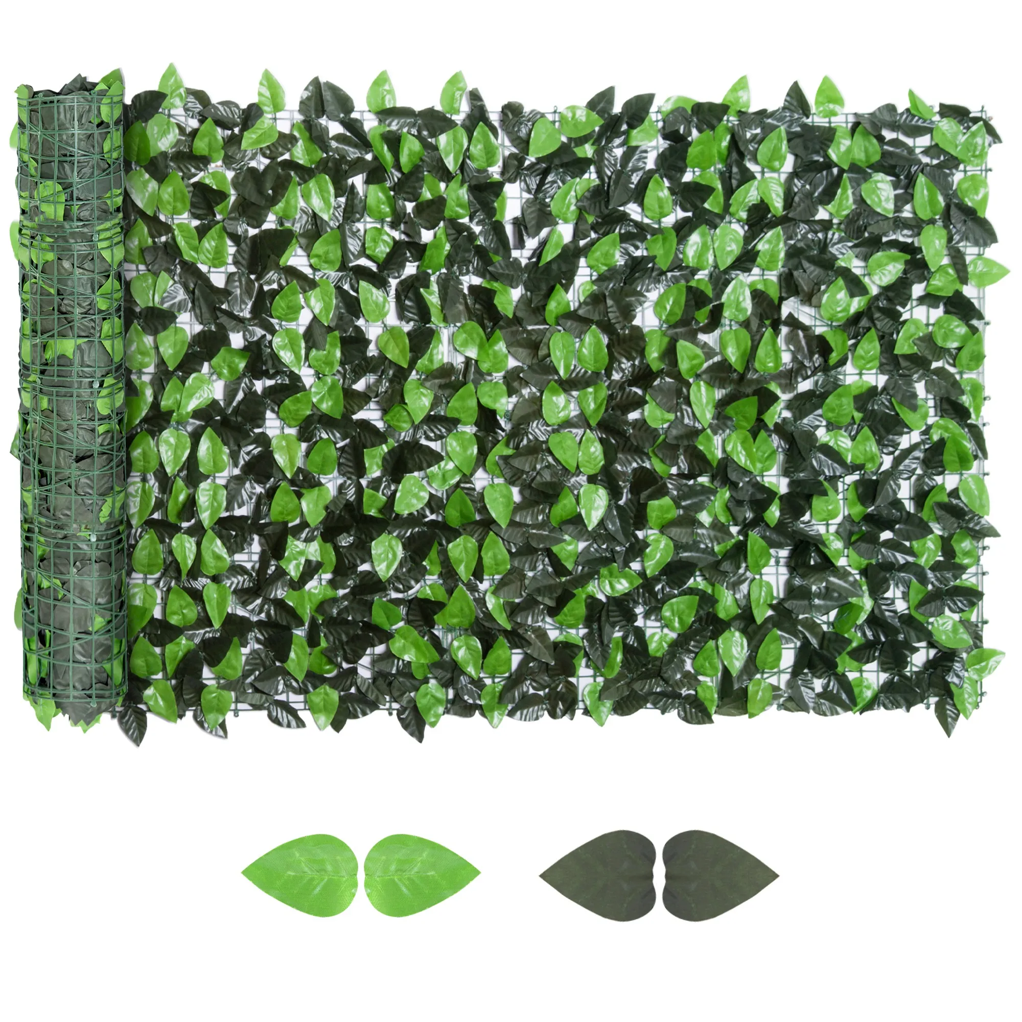 glückskastanie balkon Glückskastanie mehrstämmig kaufen – Green Me Up main image 0