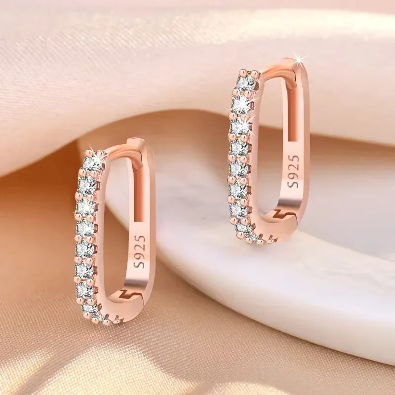 Hot Popular 925 Sterling Silver Charms Crystal Jewelry Fashion Zircon Circle Hoop Earrings For Woman Lady Wedding Party Gift