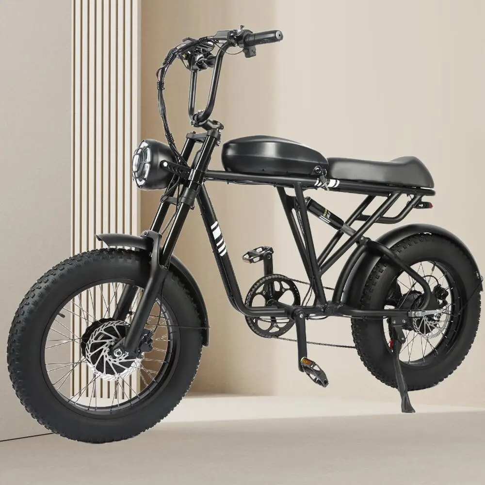 

20 Inch Fat Tire Mountain Electric Motorcycles Bicycle 1000W+1000W Classic Universal Electric Biek ebike 40 miles For Men