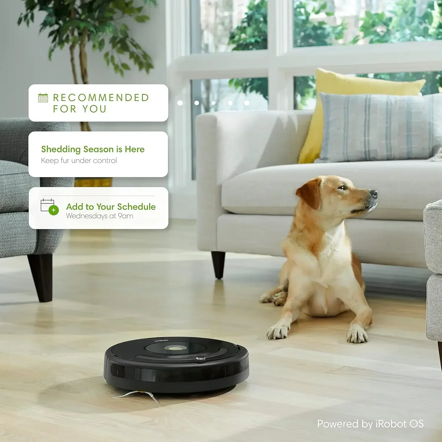 

671020 Robot Vacuum with Wi-Fi Connectivity, Works with Alexa, Good for Pet Hair, Carpets, and Hard Floors