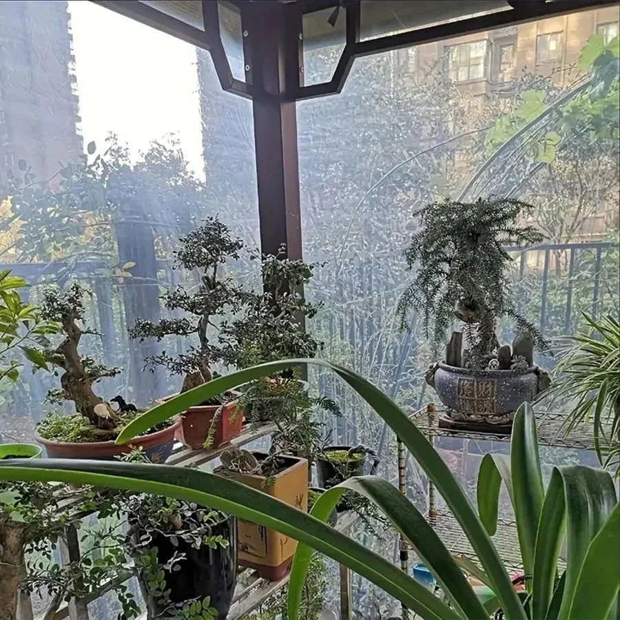 يتم استخدام القماش المشمع الشفاف المقاوم للمطر وقماش المظلة المقاوم للرياح والمظلة في الدفيئات الزراعية في الحديقة #5