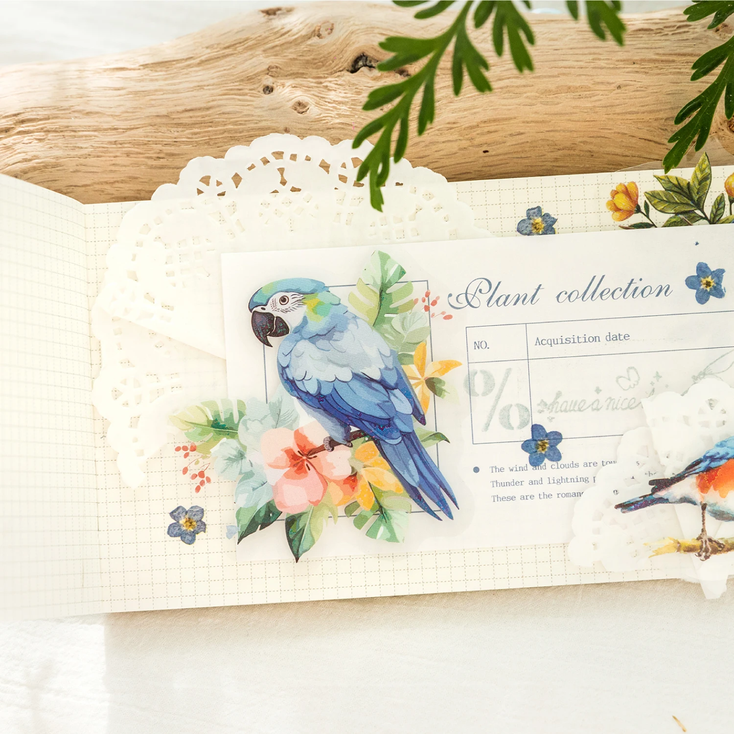 30Pcs/bag Birds Collection Series PET Material Stickers DIY Scrapbooking Decor Junk Journal Supplies Sticker Stationery