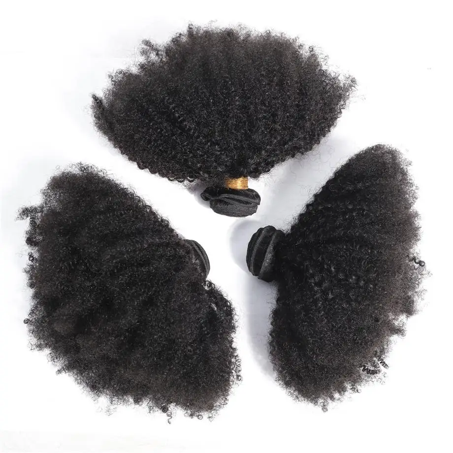 Raw Vietnamese Hair Afro Kinky Bulk 3 Bundles 100% Human Hair Weave Bundles Remy Hair Extensions Natural Black Color 8-30 Inches