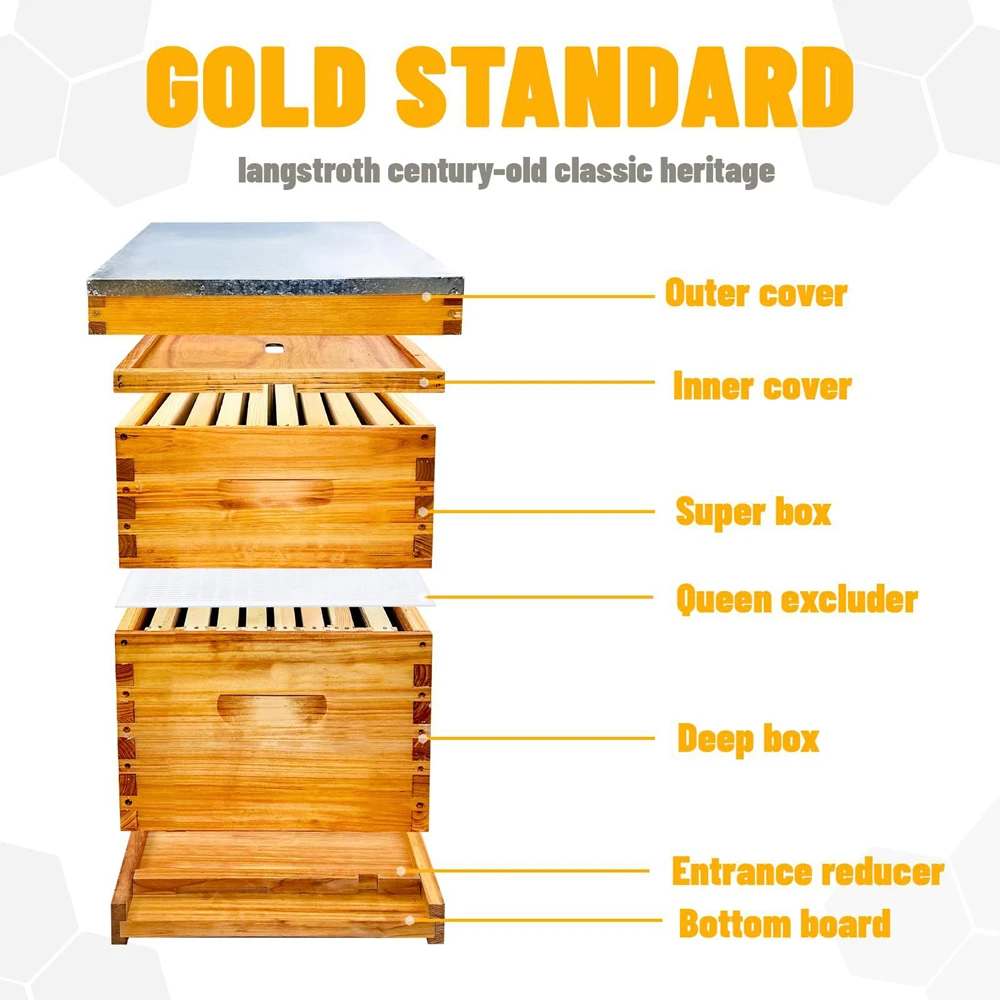 تتضمن خلية النحل المطلية بـ 10 إطارات من Langstroth مع شمع العسل وإطارات خلية النحل ومجموعة أدوات تربية النحل