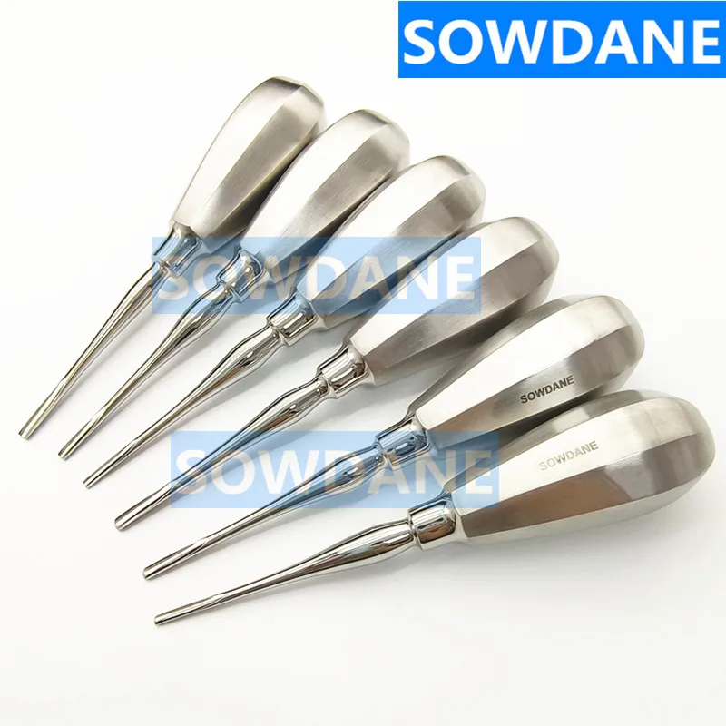 

6Pcs Dental Elevator Bean Elevator Oral Tooth Loosening Root Extraction Kit Dental Implant Minimally Invasive without box