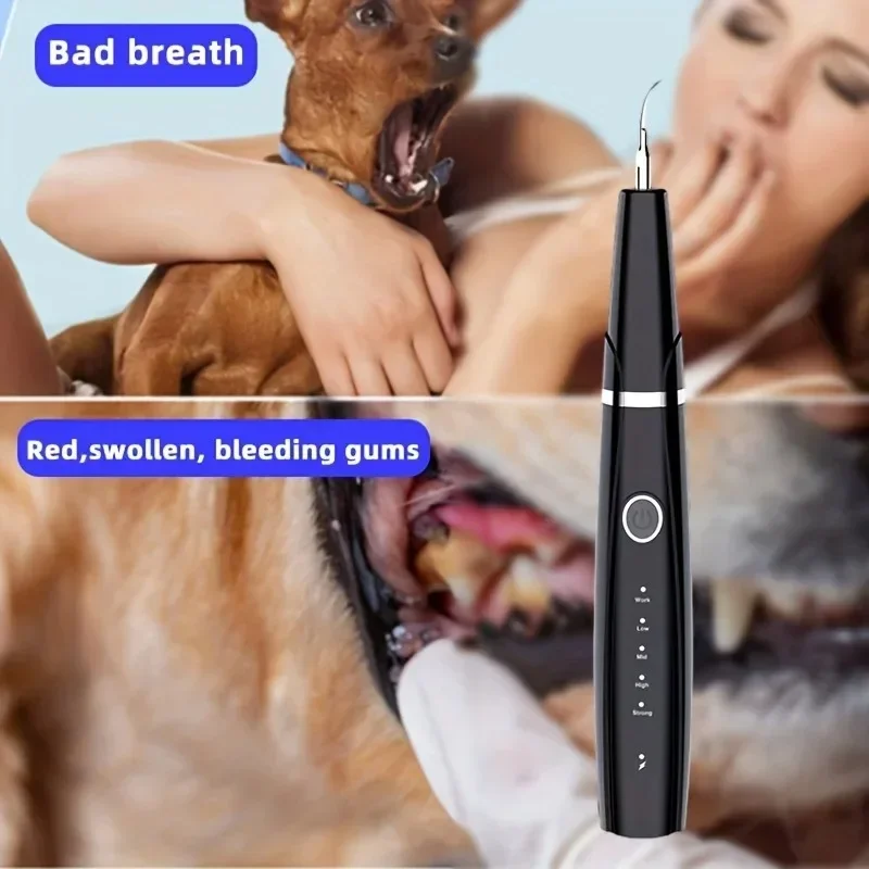 Pet electric scaler  ultrasonic USB scaler  2 cleaning heads  4 modes  home calculus remover  gum care set