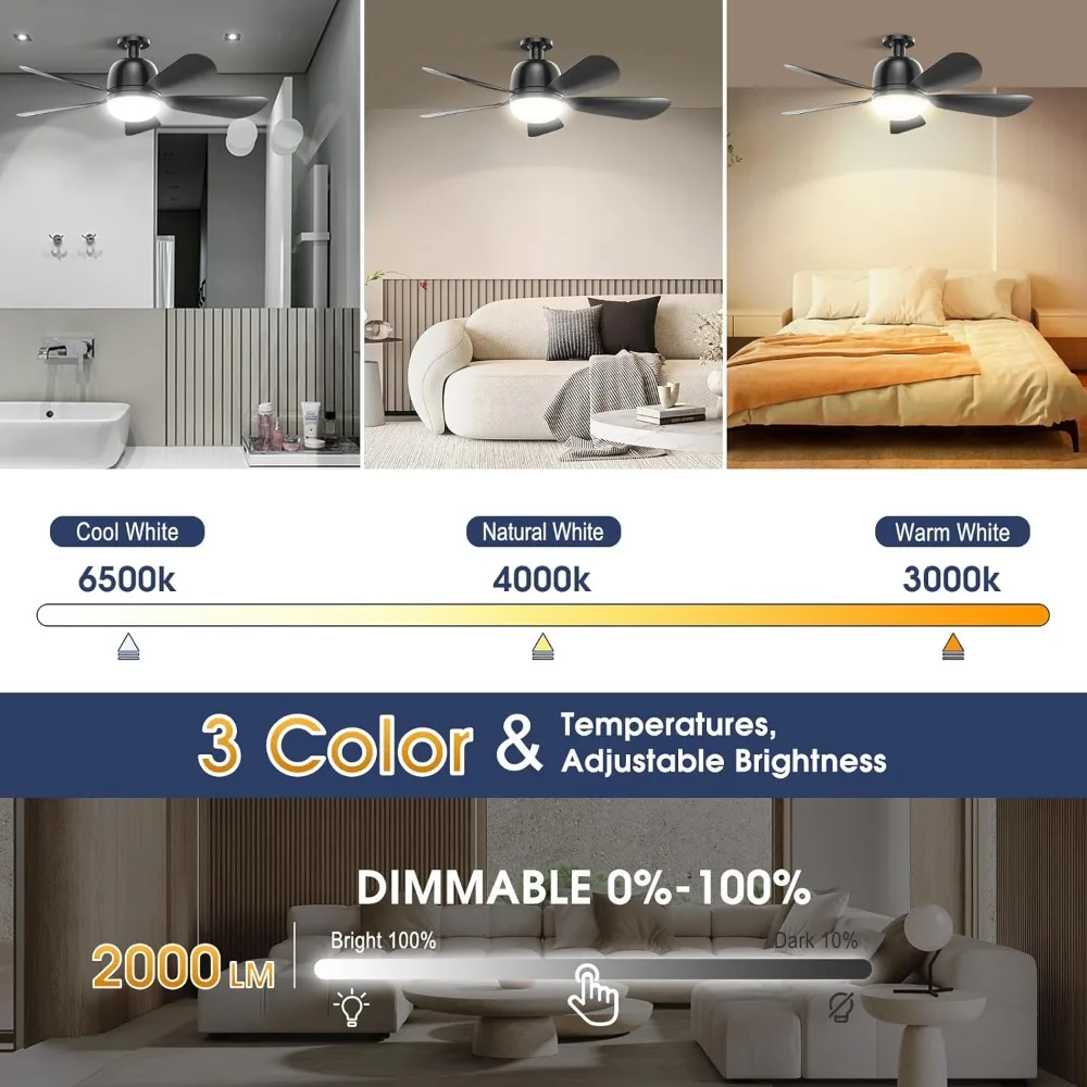 24'' Socket Fan Lights with Remote Control, 3-Color Dimmable LED, 4 Speeds, E26/E27 Bulb Compatible, 2000 Lumens