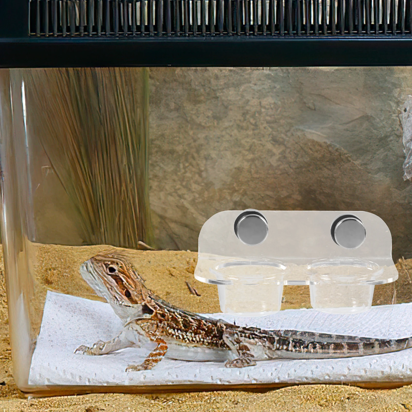 

1 set Magnetic Reptile Feeder Gecko Ledge Food Cups Small Size Durable Material Water Bowl for Baby Reptiles Pets Supplies