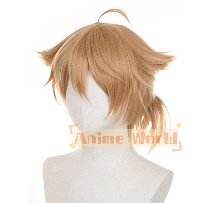 Virtual YouTuber Fushimi Gaku Cosplay Wig Halloween Christmas Woman Men Adult Wig