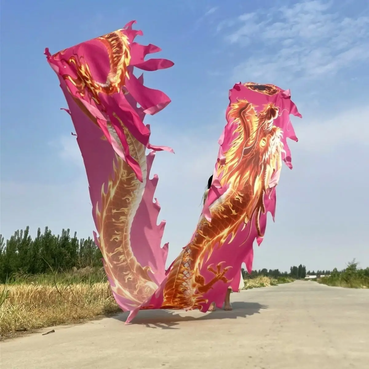 Ruban de danse Dragon rose de 7m, accessoires pour adultes, accessoire de Festival, Sports de plein air uniquement, queue (tête non incluse)