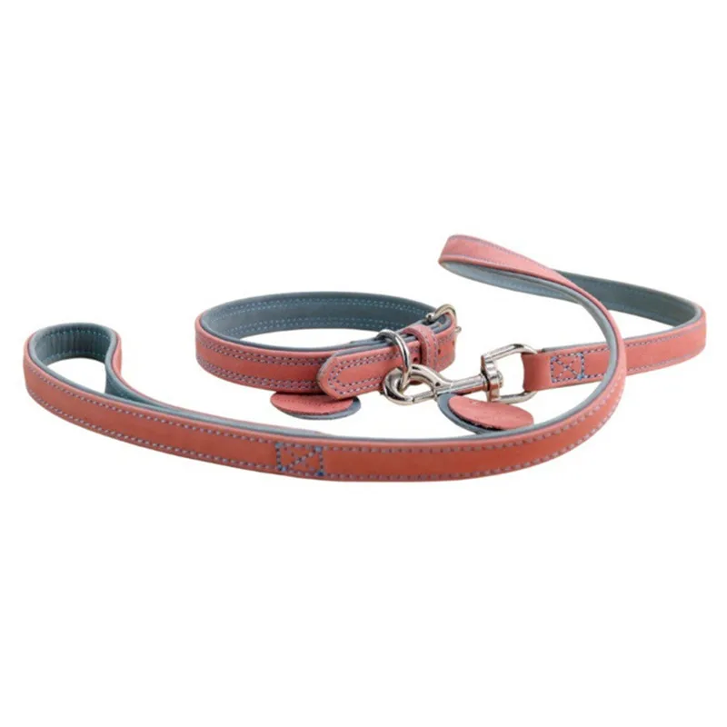 Hundehalsband und Leine aus echtem, mattiertem Leder, zweifarbiges Kontrastdesign, Hundeleine mit zwei Haken, Hundehalsband und Leine zum Gassi gehen
