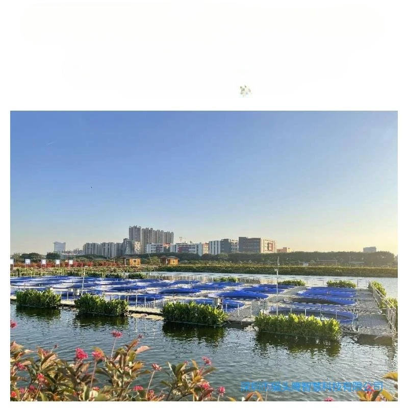 

Online monitoring system, intelligent online monitoring and monitoring equipment for deep-sea breeding cages