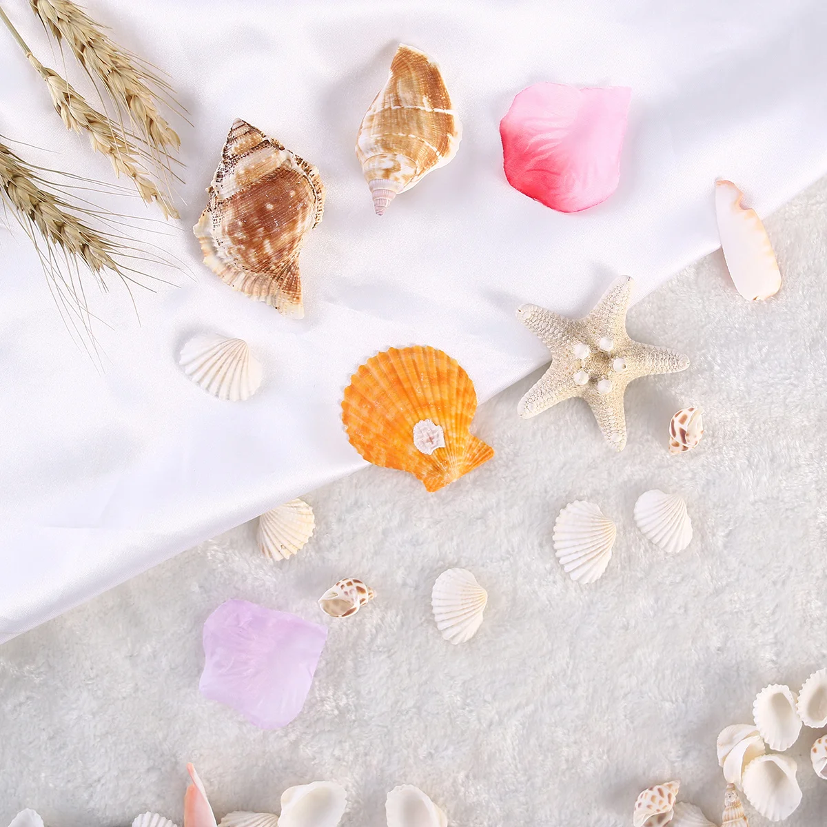 

300g Natural Mixed Seashell Set Various Sizes for Home Aquarium Nautical Crafts Decoration Seashells Mixed Beach Seashells