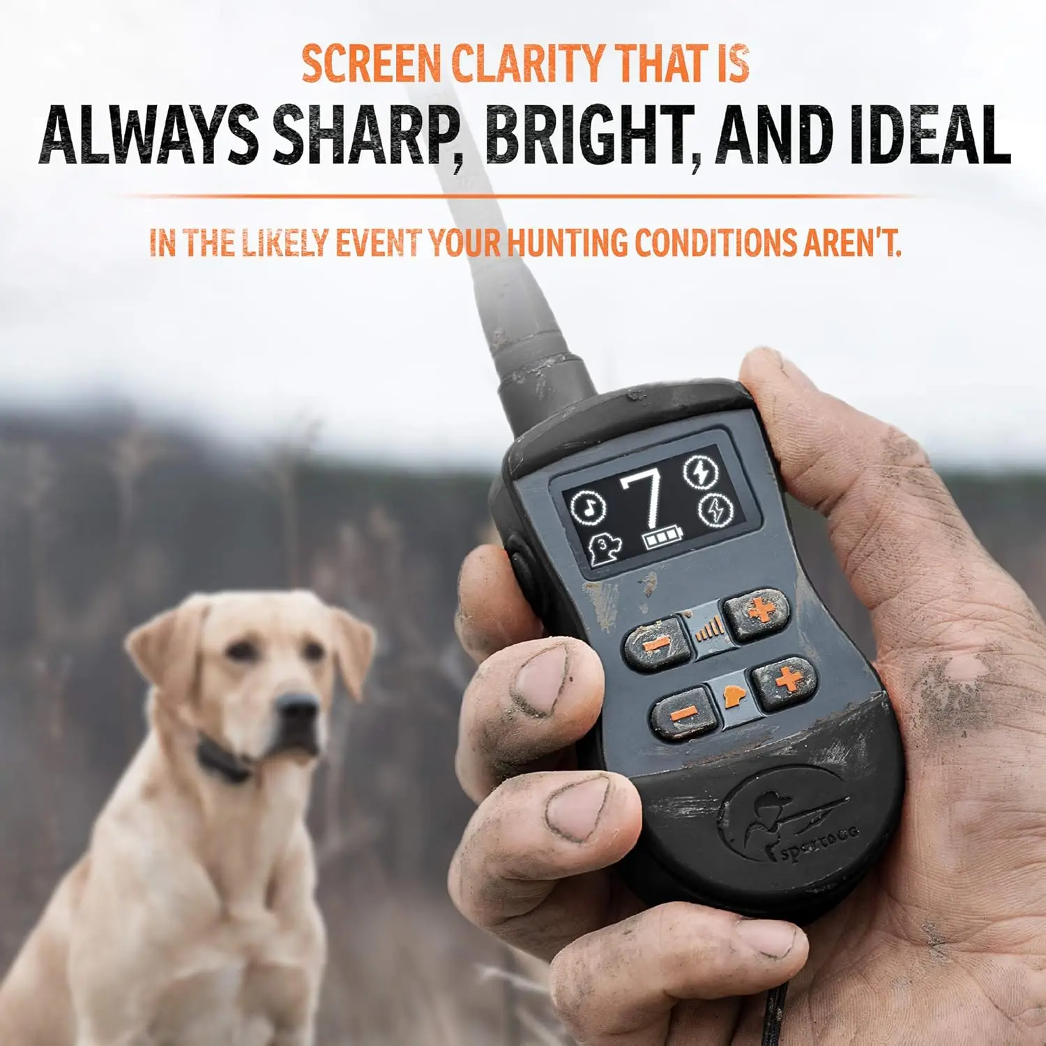 Remote - Bright, Easy to Read OLED Screen - 3/4 Mile Range - Waterproof, Rechargeable D