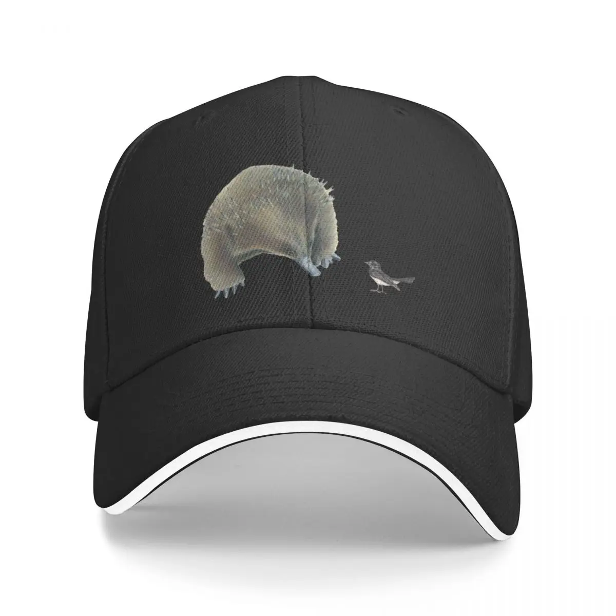 

Echidna and Willie Wagtail Baseball Cap Snap Back Hat Rugby Sports Cap Men Hats Women's