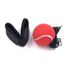 Lomachenko Punching Ball #4