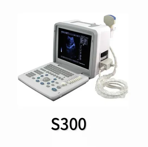 

Portable black and white ultra s300 with abdominal convex array probe