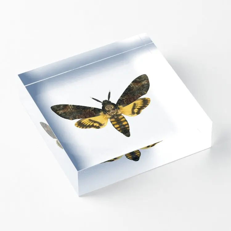 Death Is Head Moth  Acrylic Block Stamping Clear Photos Board  Fashionable Wedding Decoration Funny Transparent Decor Home