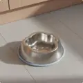 Blue Single Bowl
