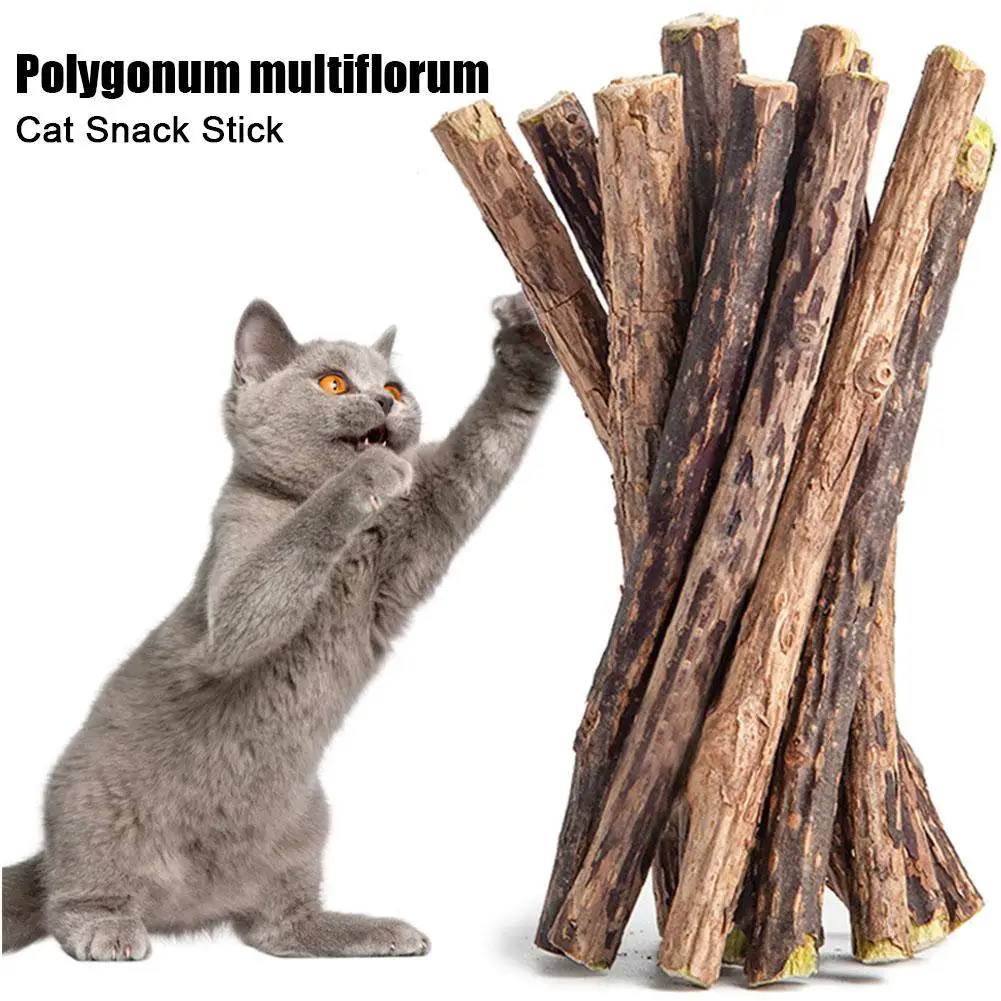 5pc Catnip Stick Pet Cat Molar All Natural Self-healing Wooden Toys Suppli Cleaning Relieve Polygonum Snacks Chews Boredom Z0A6