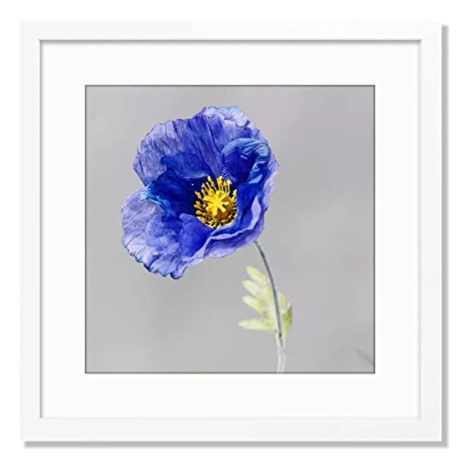 

Frame, Perfect for Inch Picture without Mat or Inch Picture with Mat, Home Wall Decor Picture Frame-1 PCS
