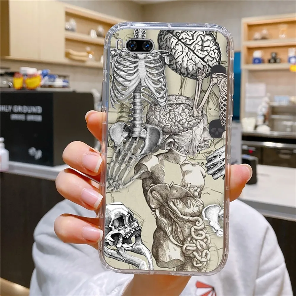 Medical Human Anatomy Phone Case For Huawei Mate P10 P20 P30 P40 P50 Smart Z Honor 50 60 70 Pro Lite Transparent Case