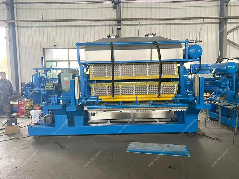 Disposable Recycled Waste Paper Pulp Vacuum Forming Egg Tray Machine for Seed Plot/Seedling/Nursery