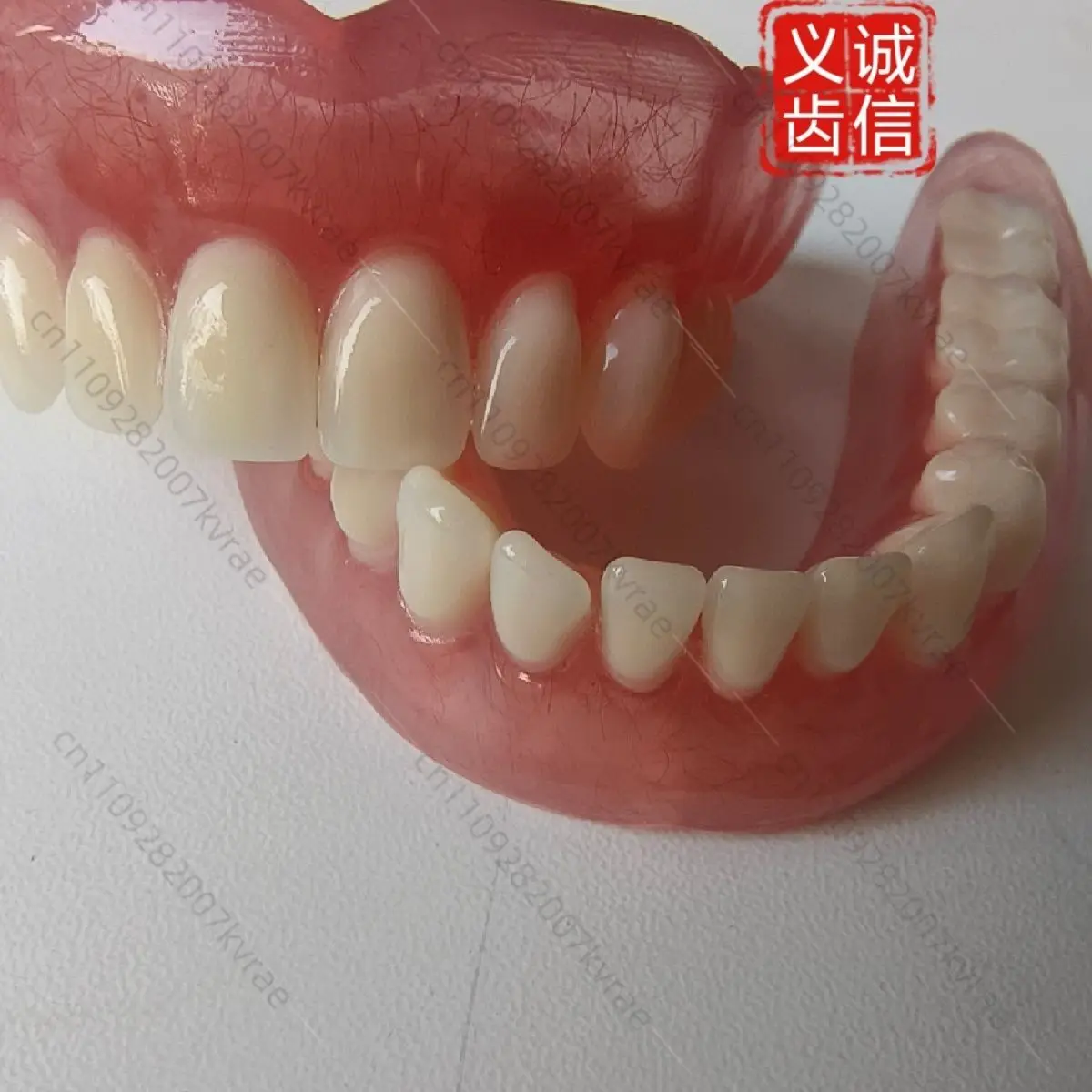 dental-teaching-model-full-mouth-half-mouth-teeth-demonstration-model-standard-denture-study-model-teaching-training-use-only