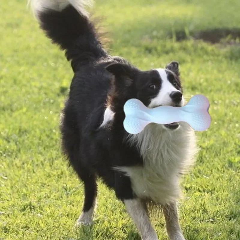 Dog toy, bite-resistant puppy, boredom-relieving and venting artifact, molar stick, rubber ball.