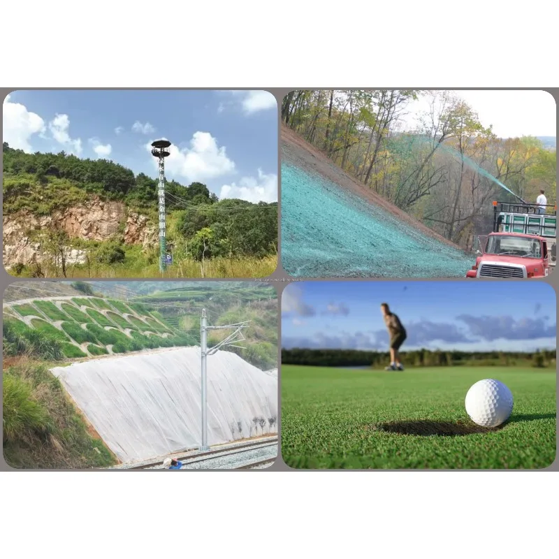 Electric Hydroseeder for Eco Friendly Urban Greening Projects  for Low Noise Emission in Residential Areas Customized price