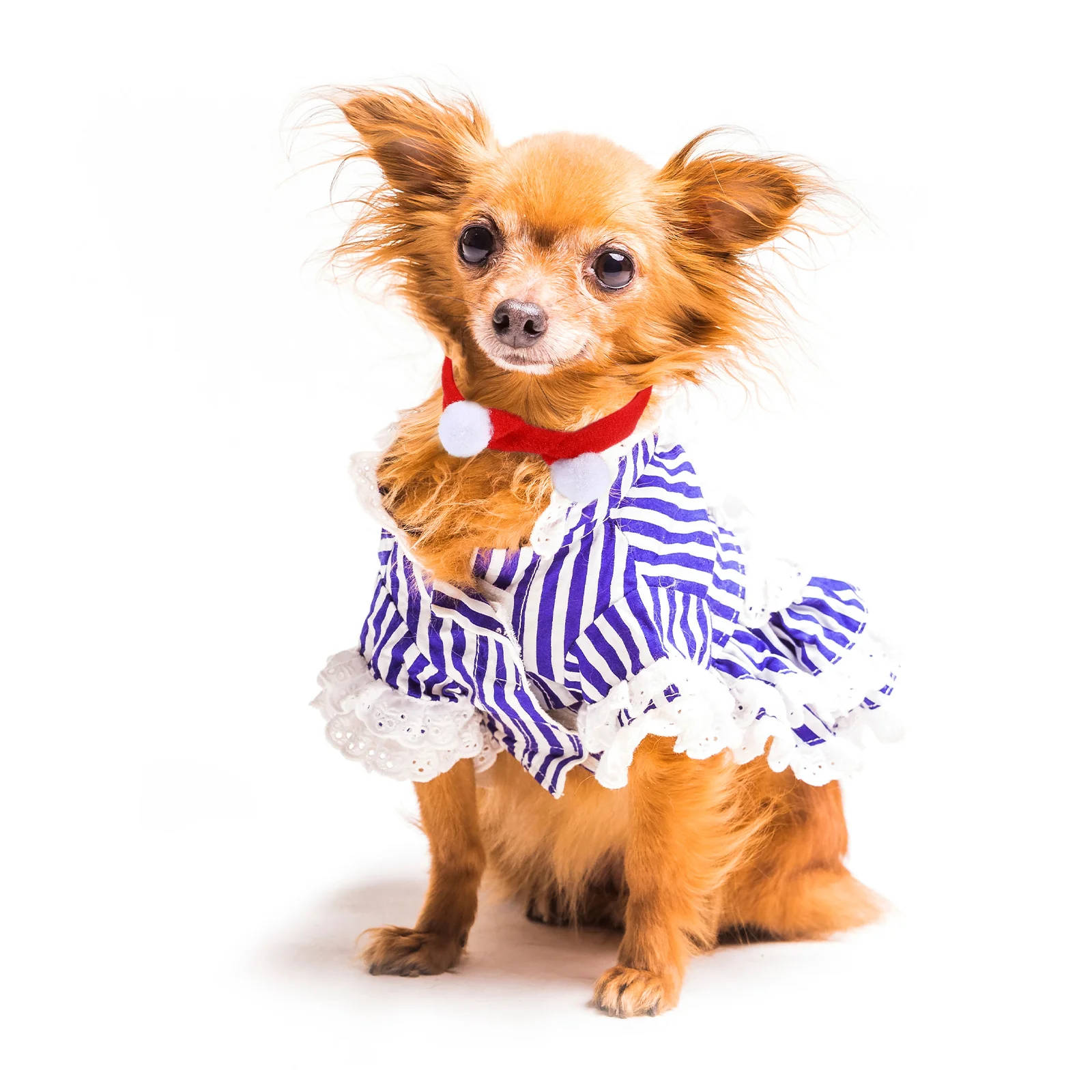 

10Pcs Christmas Pet Scarves Balls Comfortable Decoration for Dogs Cats Puppies Kittens Holiday Party Photo